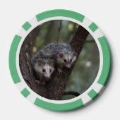 Doppeltes Problem in der Canopy: Zwei Possummen Pokerchips (Rückseite)