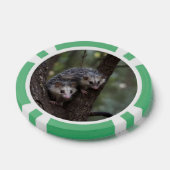 Doppeltes Problem in der Canopy: Zwei Possummen Pokerchips (Einzeln)