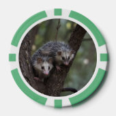 Doppeltes Problem in der Canopy: Zwei Possummen Pokerchips (Vorderseite)