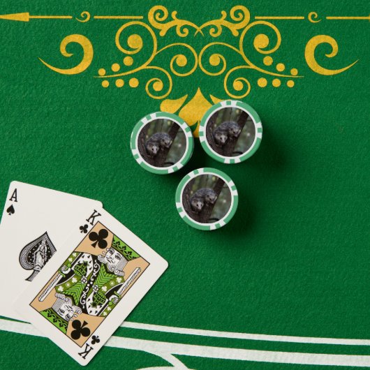 Doppeltes Problem in der Canopy: Zwei Possummen Pokerchips (Pokertisch (Stapel))