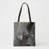 Doppeltes Problem in der Canopy: Zwei Possummen Tasche (Vorderseite)