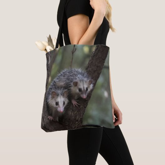 Doppeltes Problem in der Canopy: Zwei Possummen Tasche (Von Nahem)
