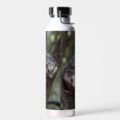 Doppeltes Problem in der Canopy: Zwei Possummen Trinkflasche (Links)