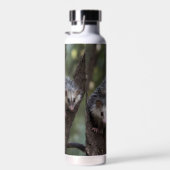 Doppeltes Problem in der Canopy: Zwei Possummen Trinkflasche (Rechts)