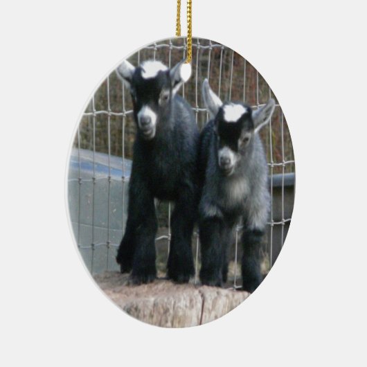 Doppeltes Problem Keramik Ornament (Rechts)