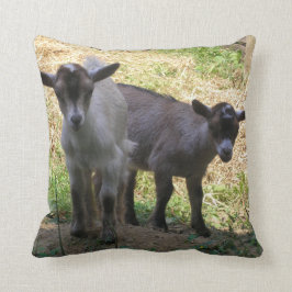 Doppeltes Problem! Kissen