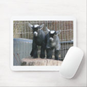 Doppeltes Problem Mousepad (Mit Mouse)