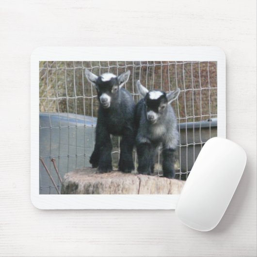 Doppeltes Problem Mousepad (Mit Mouse)