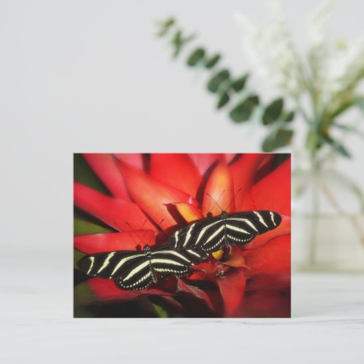 Doppeltes Problem Postkarte (Stehend Vorderseite)