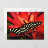 Doppeltes Problem Postkarte (Vorne/Hinten)