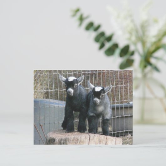 Doppeltes Problem Postkarte (Stehend Vorderseite)