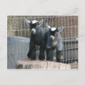 Doppeltes Problem Postkarte (Vorderseite)