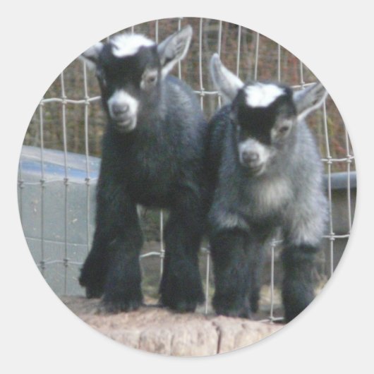 Doppeltes Problem Runder Aufkleber (Vorderseite)