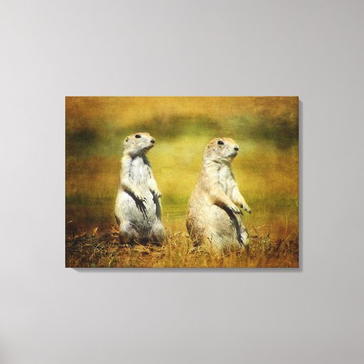 Doppeltrouble Canvas Print Leinwanddruck (Vorderseite)