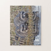 DoppelWaschbären Puzzle (Vertikal)