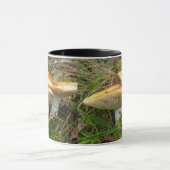 Doppelzimmer Tasse (Zentrum)