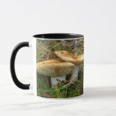 Doppelzimmer Tasse (Links)