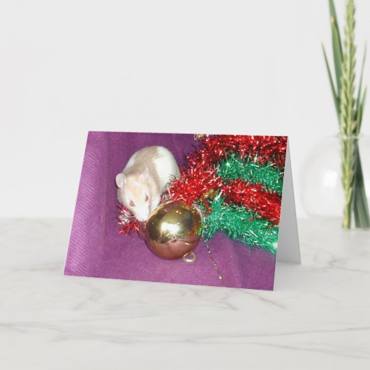 Dopplerbauble Feiertagskarte (Vorderseite)