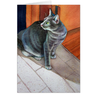 Dora, die Gray Tabby Cat,