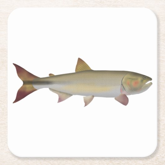 Dorado Rechteckiger Pappuntersetzer (Vorderseite)