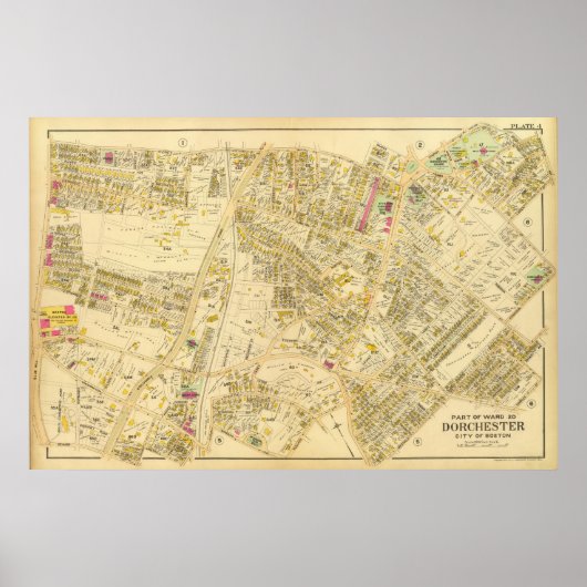 Dorchester, Massachusetts 7 Poster (Vorne)