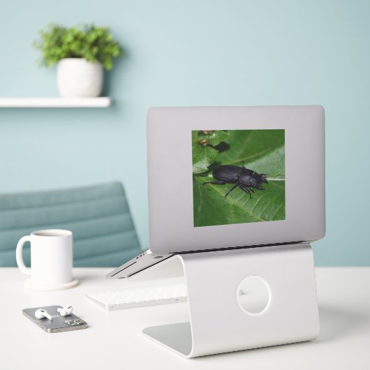 Dorcus parallelipipedus , der kleinere Hirschkäfer Aufkleber (Laptop auf Schreibtisch)