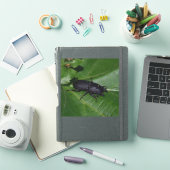 Dorcus parallelipipedus , der kleinere Hirschkäfer Aufkleber (iPad Hülle)