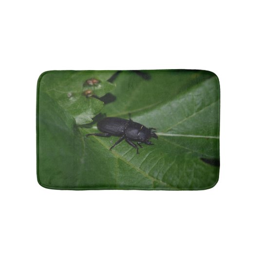 Dorcus parallelipipedus , der kleinere Hirschkäfer Badematte (Vorderseite)