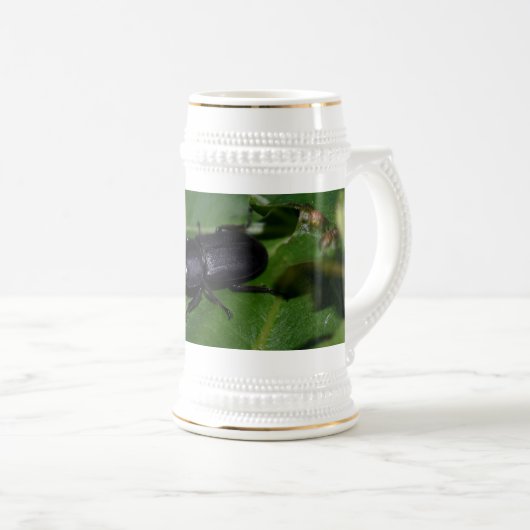 Dorcus parallelipipedus , der kleinere Hirschkäfer Bierglas (VorderseiteRechts)