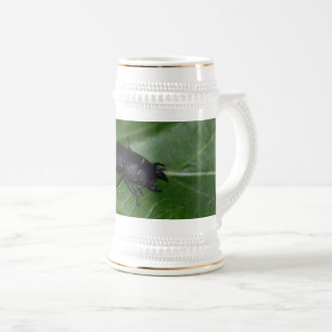 Dorcus parallelipipedus , der kleinere Hirschkäfer Bierglas
