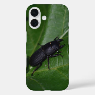Dorcus parallelipipedus , der kleinere Hirschkäfer iPhone 16 Hülle