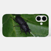 Dorcus parallelipipedus , der kleinere Hirschkäfer Case-Mate iPhone Hülle (Rückseite (Horizontal))
