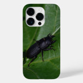 Dorcus parallelipipedus , der kleinere Hirschkäfer Case-Mate iPhone Hülle (Rückseite)