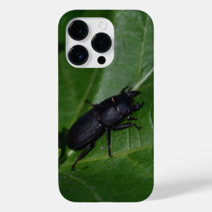 Dorcus parallelipipedus , der kleinere Hirschkäfer Case-Mate iPhone 14 Pro Hülle