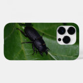 Dorcus parallelipipedus , der kleinere Hirschkäfer Case-Mate iPhone Hülle (Rückseite (Horizontal))
