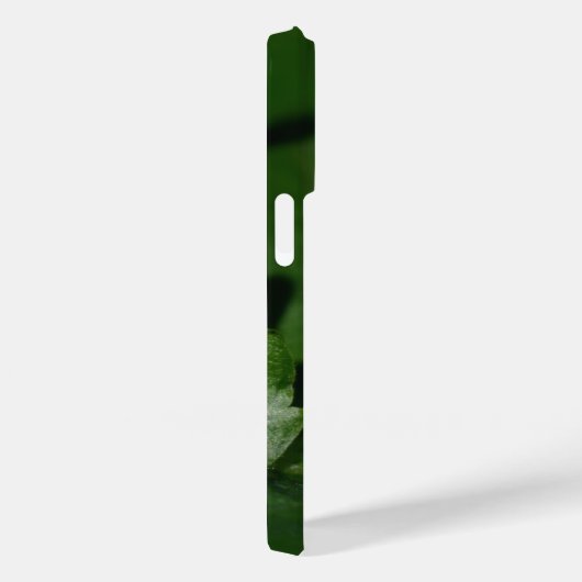 Dorcus parallelipipedus , der kleinere Hirschkäfer Case-Mate iPhone Hülle (Rückseite / Rechts)