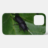 Dorcus parallelipipedus , der kleinere Hirschkäfer Case-Mate iPhone Hülle (Rückseite (Horizontal))
