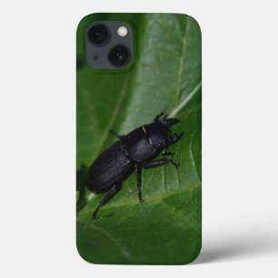 Dorcus parallelipipedus , der kleinere Hirschkäfer Case-Mate iPhone Hülle
