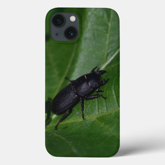 Dorcus parallelipipedus , der kleinere Hirschkäfer Case-Mate iPhone Hülle (Rückseite)