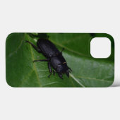 Dorcus parallelipipedus , der kleinere Hirschkäfer Case-Mate iPhone Hülle (Rückseite (Horizontal))