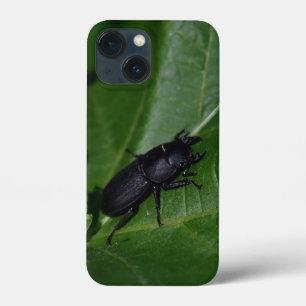 Dorcus parallelipipedus , der kleinere Hirschkäfer Case-Mate iPhone Hülle