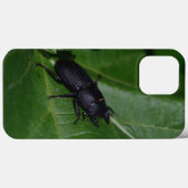 Dorcus parallelipipedus , der kleinere Hirschkäfer Case-Mate iPhone Hülle (Rückseite (Horizontal))