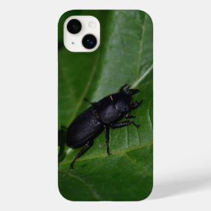 Dorcus parallelipipedus , der kleinere Hirschkäfer Case-Mate iPhone 14 Plus Hülle