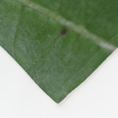 Dorcus parallelipipedus , der kleinere Hirschkäfer Fleecedecke (Ecke)