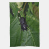 Dorcus parallelipipedus , der kleinere Hirschkäfer Geschirrtuch (Vertikal)