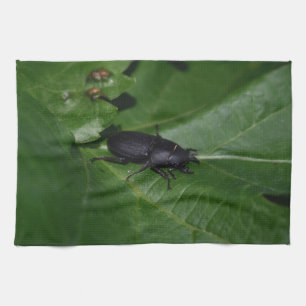 Dorcus parallelipipedus , der kleinere Hirschkäfer Geschirrtuch