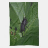 Dorcus parallelipipedus , der kleinere Hirschkäfer Geschirrtuch (Vertikal)