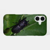 Dorcus parallelipipedus , der kleinere Hirschkäfer iPhone 16 Hülle (Rückseite (Horizontal))