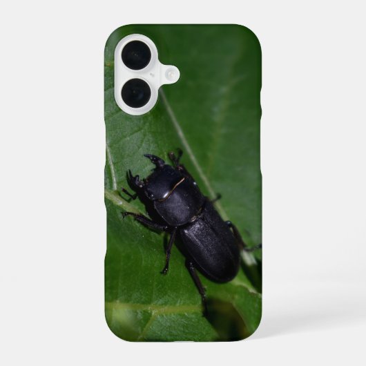 Dorcus parallelipipedus , der kleinere Hirschkäfer iPhone 16 Hülle (Rückseite)