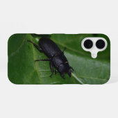 Dorcus parallelipipedus , der kleinere Hirschkäfer iPhone 16 Hülle (Rückseite (Horizontal))
